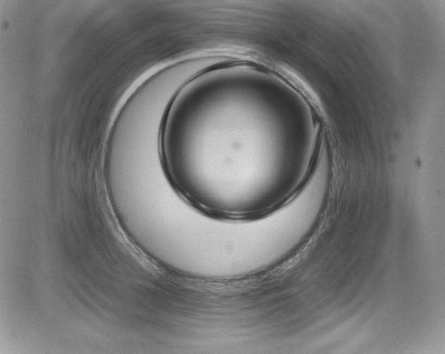 X0000081570948200701151208