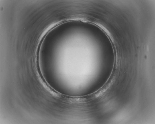 X0000081570949200701151208