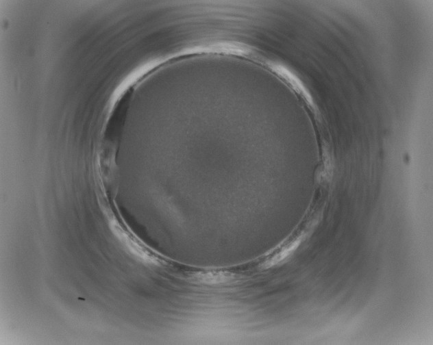 X0000081570952200701151208