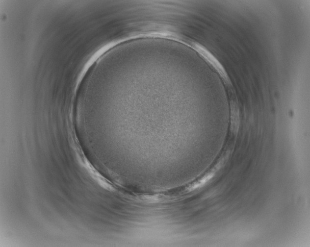 X0000081570956200701151208