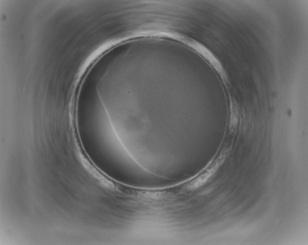X0000081570958200701151209