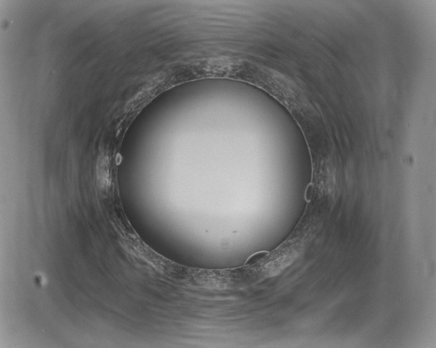 X0000081570962200701151208