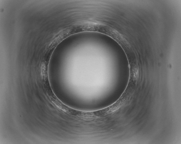 X0000081570964200701151208