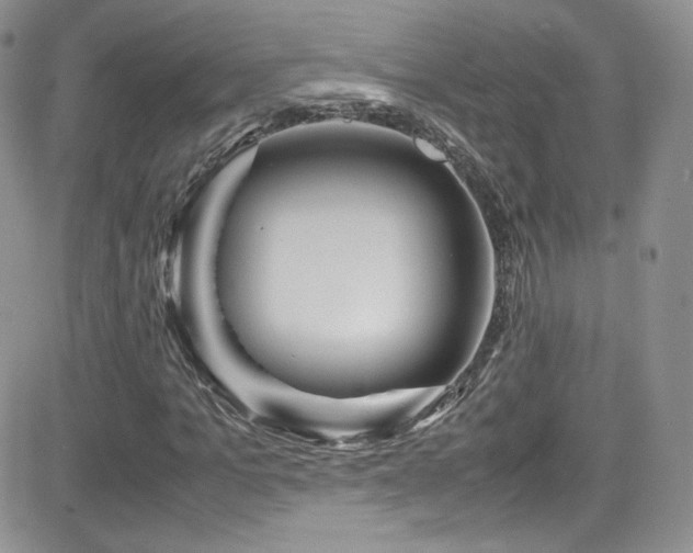 X0000081570965200701151208
