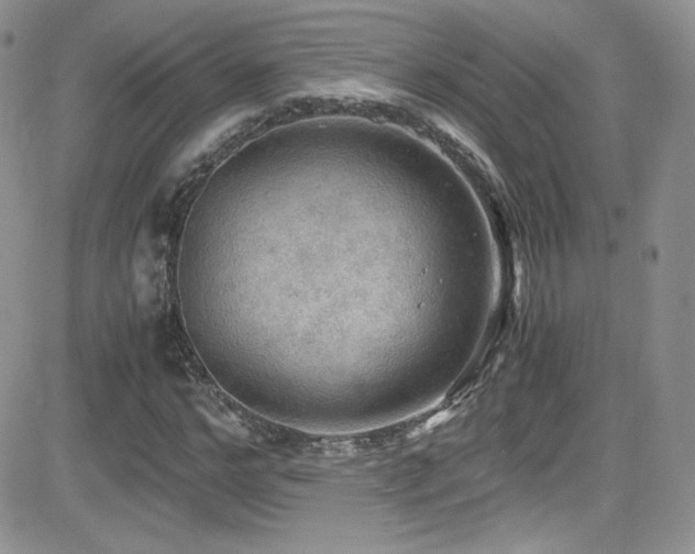 X0000081570968200701151208