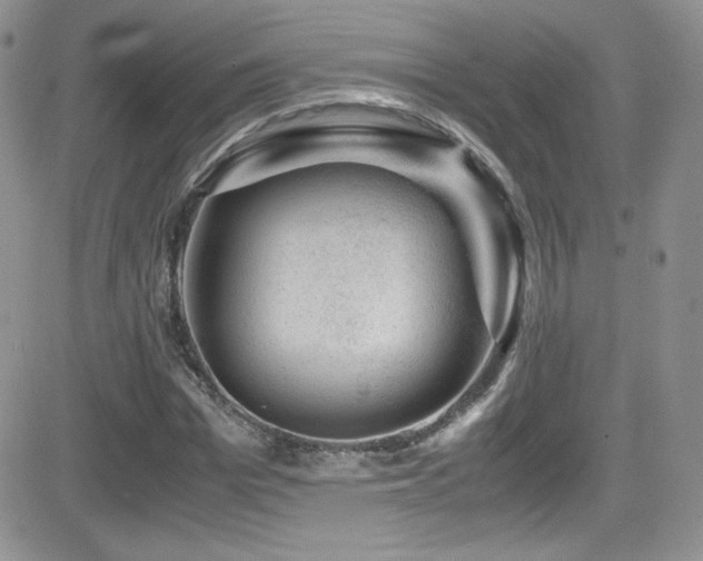 X0000081570969200701151208