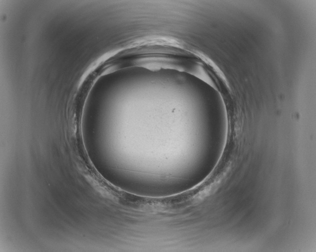 X0000081570973200701151208