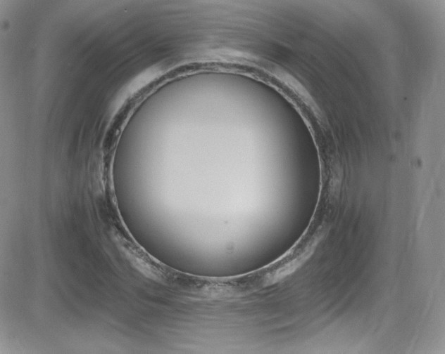 X0000081570974200701151208