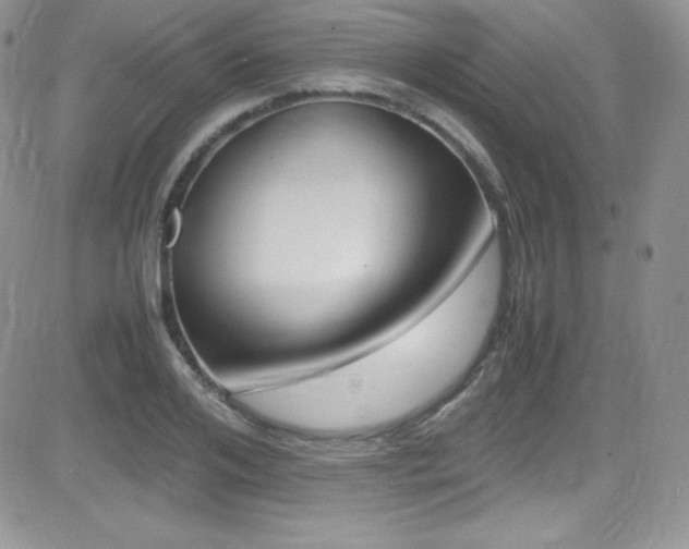 X0000081570984200701151207