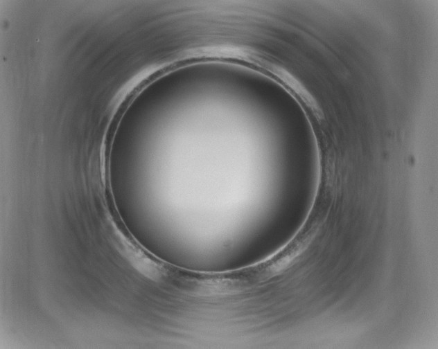 X0000081570988200701151207