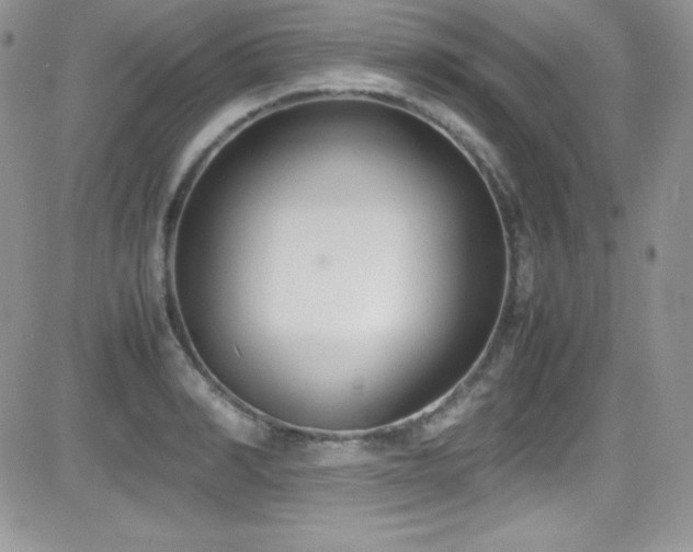X0000081570990200701151207