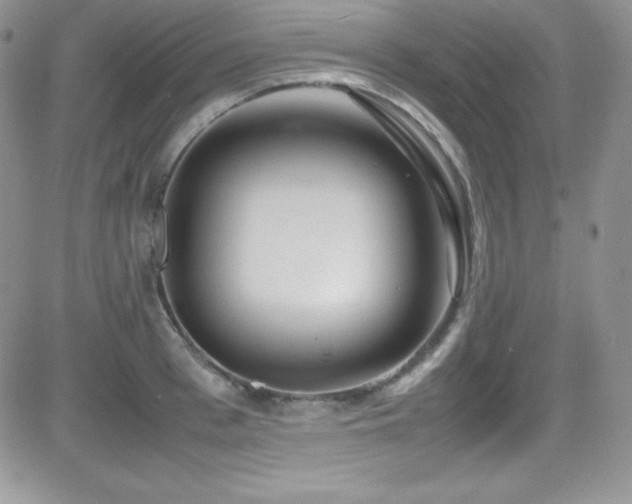 X0000081570993200701151207