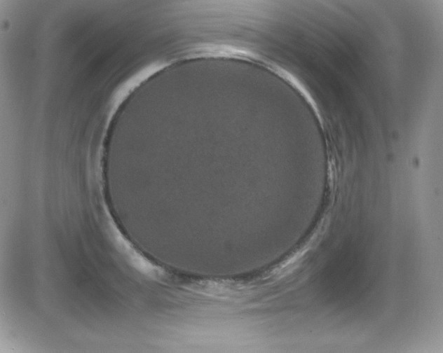 X0000081570995200701151207