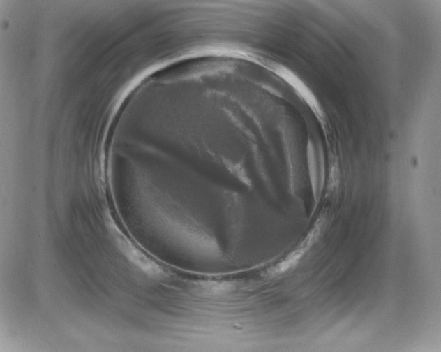 X0000081570996200701151207