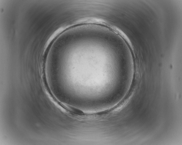 X0000081570997200701151207