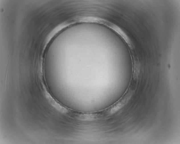 X0000081571000200701151207