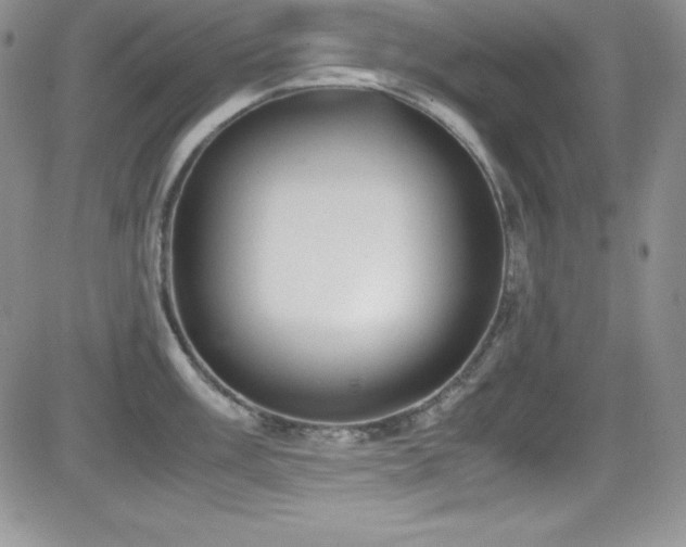 X0000081571003200701151207