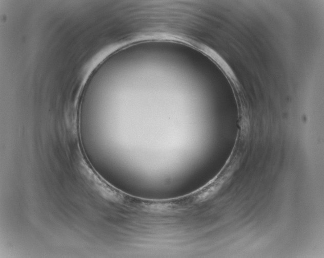 X0000081571004200701151207