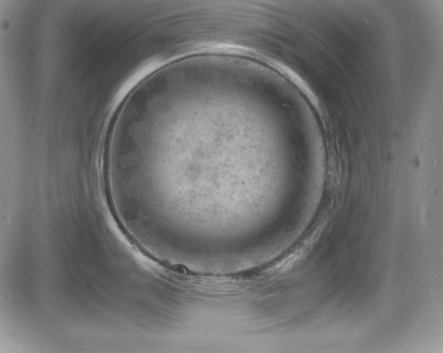 X0000081571007200701151207