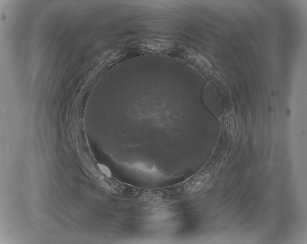 X0000081571009200701151206