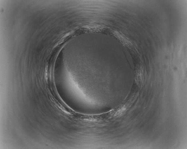 X0000081571010200701151206