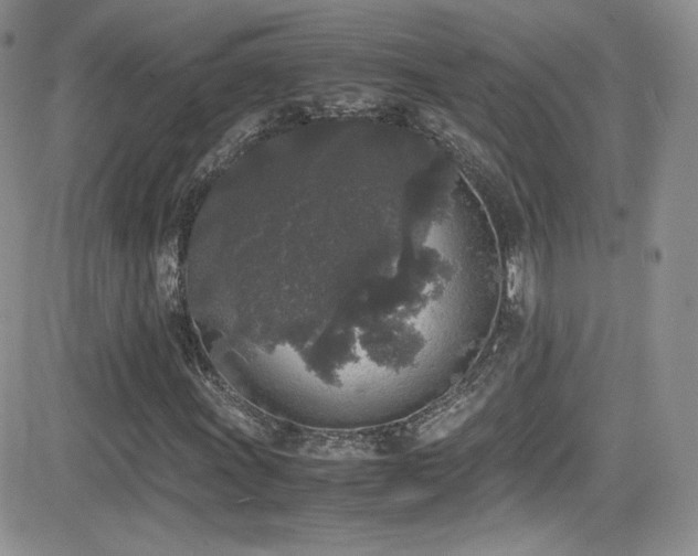 X0000081571011200701151206