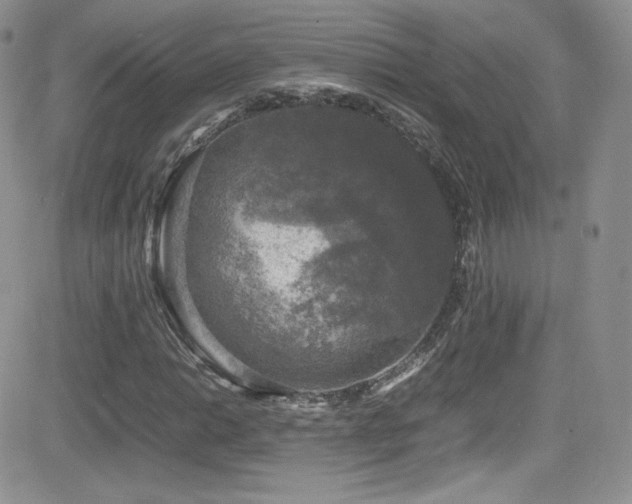X0000081571014200701151206