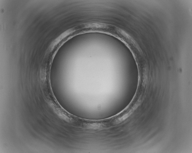 X0000081571017200701151206