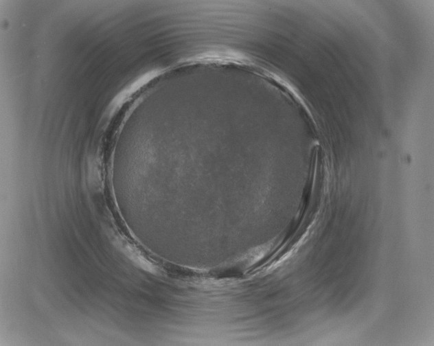 X0000081571018200701151206