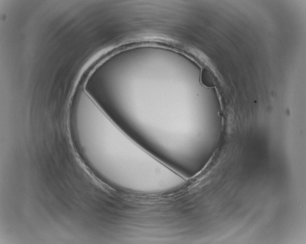 X0000081571024200701151206