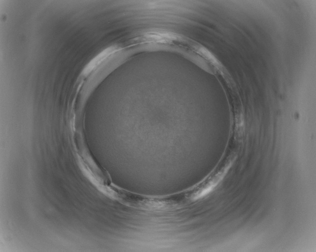 X0000081571034200701151207