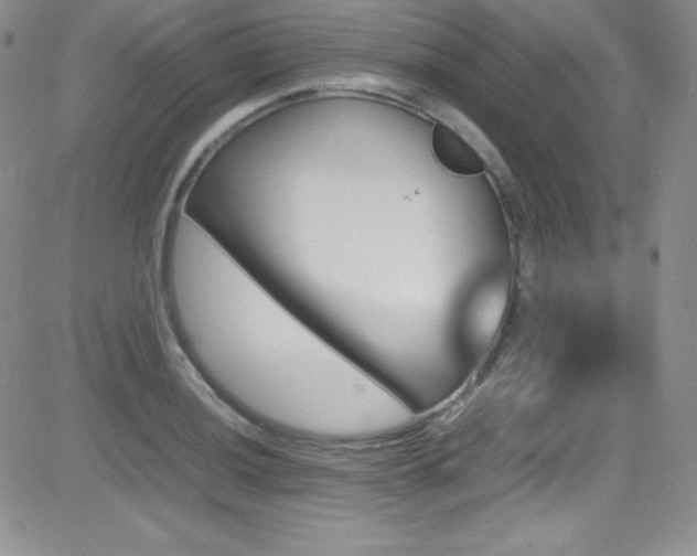 X0000081571036200701151207