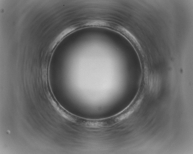 X0000081571041200701151207
