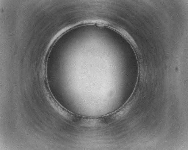 X0000081571044200701151207