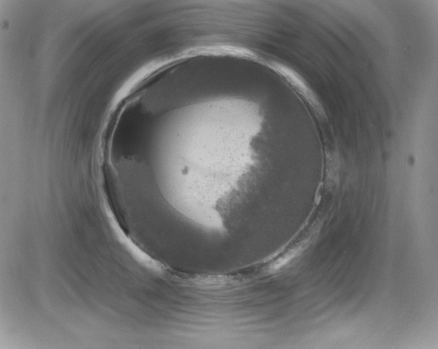 X0000081571046200701151207
