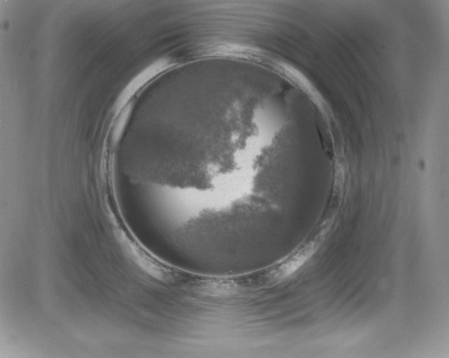 X0000081571050200701151207