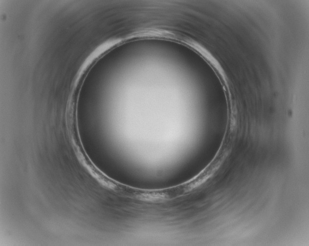 X0000081571053200701151207