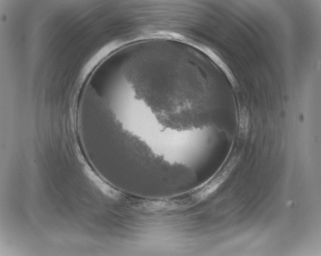 X0000081571054200701151207