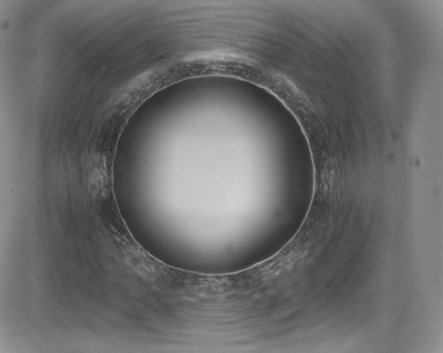 X0000081571062200701151206