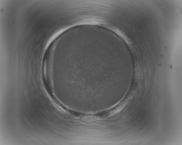 X0000081571077200701151206