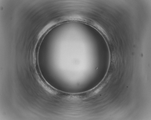 X0000081571082200701151206