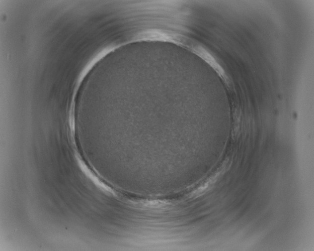 X0000081571084200701151206