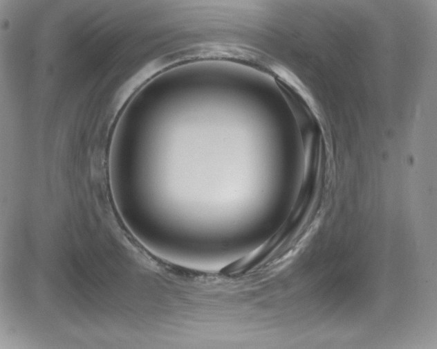 X0000081571089200701151206