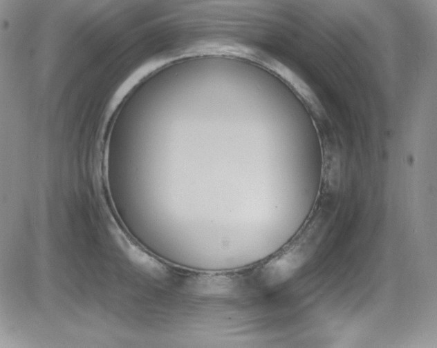 X0000081571094200701151206