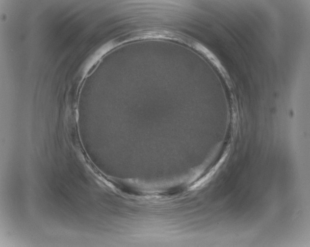 X0000081571097200701151206