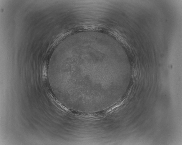 X0000081571106200701151205