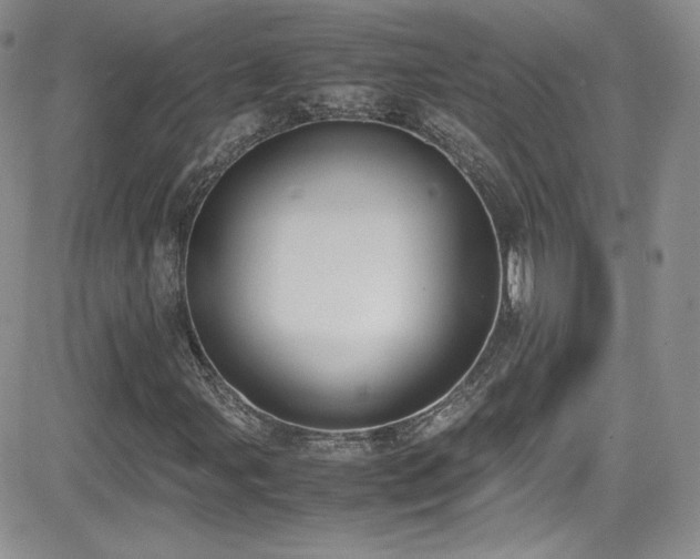 X0000081571107200701151205