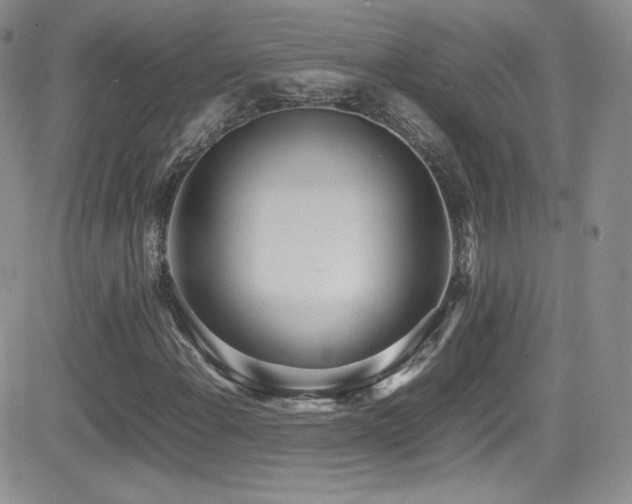 X0000081571108200701151205