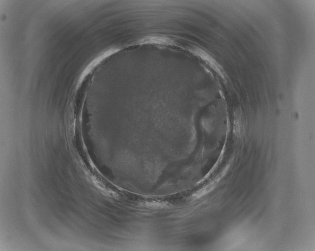 X0000081571117200701151205