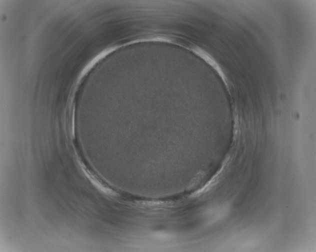 X0000081571127200701151205